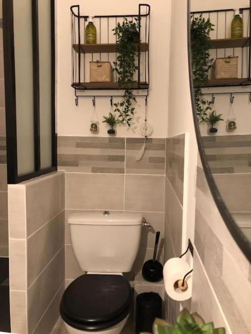 Au Pied De La Cite Apartment Carcassonne