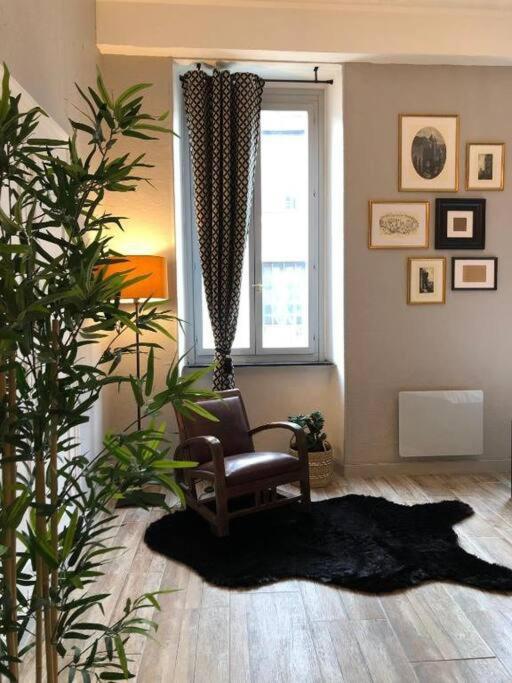 Apartment Au Pied De La Cite *